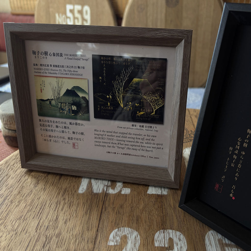 駿河３景・鞠子の樹・図説