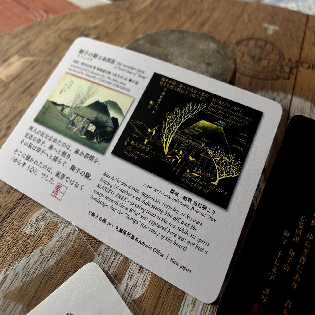 鞠子の樹　図説